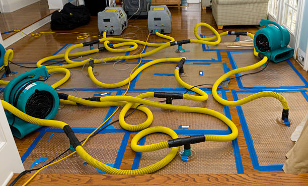 Professional Water Damage Repair technician working in Spring City, PA